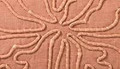 Baked Clay